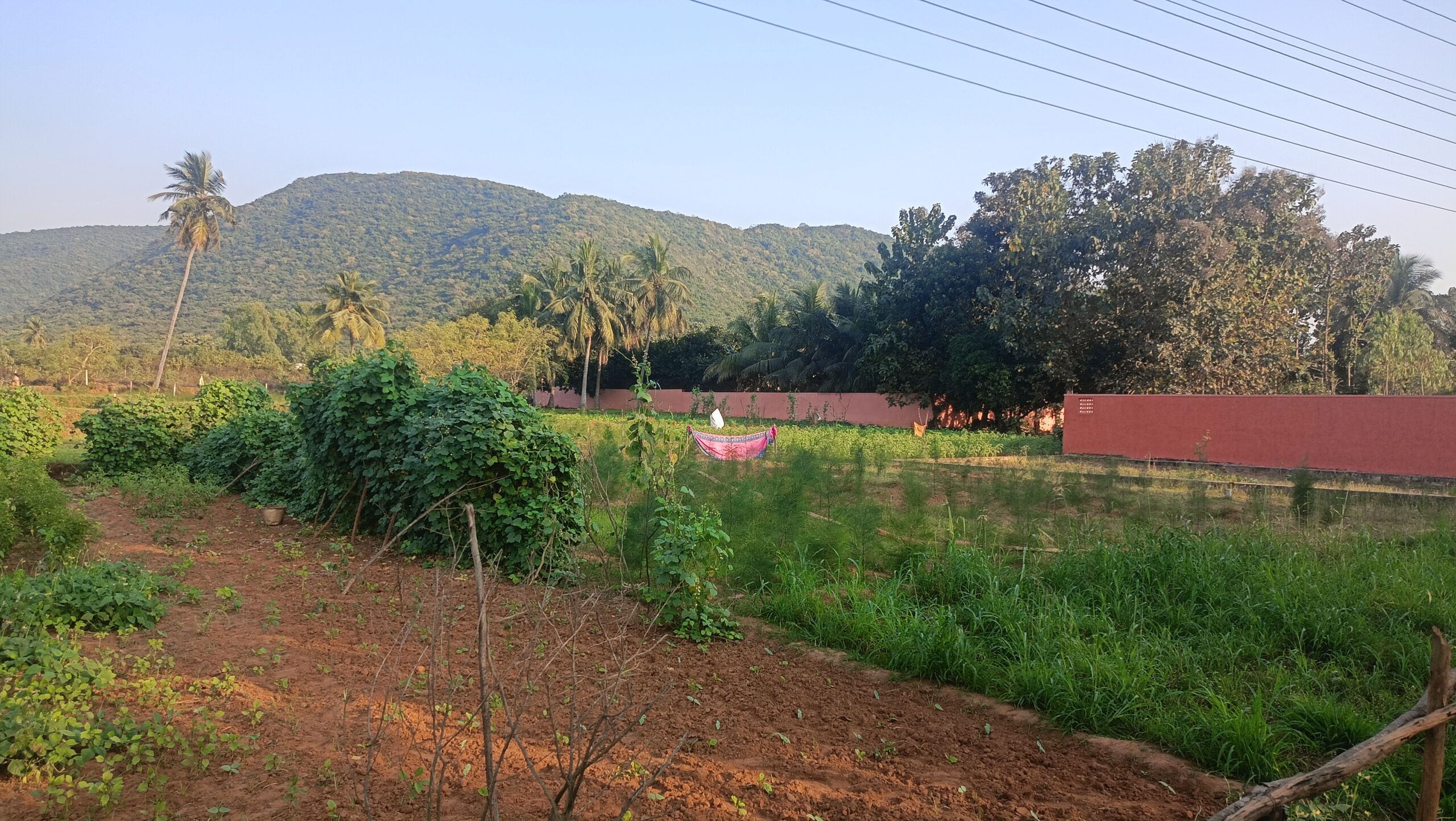 Chinmaya Grameena VIkasa Kendram - Chinmaya Mission Visakhapatnam West
