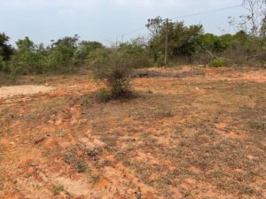 The Playground near Chinmaya Vidya Vardhana Kendram, that we have cleared for children to play
